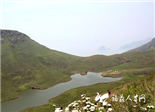 靠岛吃“岛”