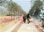 清明节何时“清明”起来？