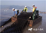 福鼎市“科技入户工程”显成效