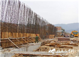 环城北路建设紧锣密鼓
