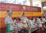 广州万人品福鼎白茶 收藏寿眉渐露头角