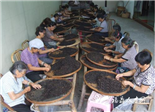 “白琳工夫”又红起来了