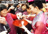 福鼎白茶上海刮“旋风”
