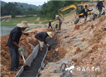 点头镇观洋村的萝九小山塘应急加固整治工程施工